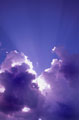 local weather